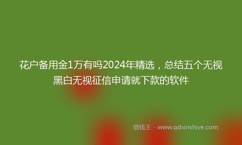 花户备用金1万有吗2024年精选，总结五个无视黑白无视征信申请就下款的软件