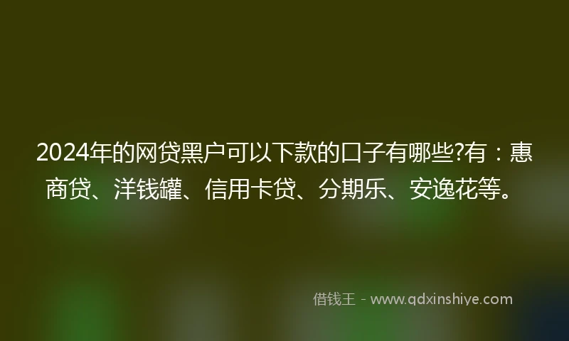 2024年的网贷黑户可以下款的口子有哪些?有：惠商贷、洋钱罐、信用卡贷、分期乐、安逸花等。