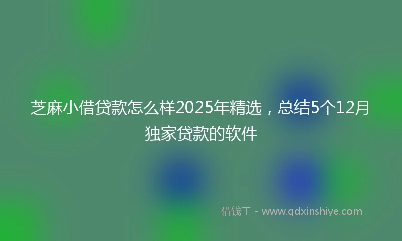芝麻小借贷款怎么样2025年精选，总结5个12月独家贷款的软件