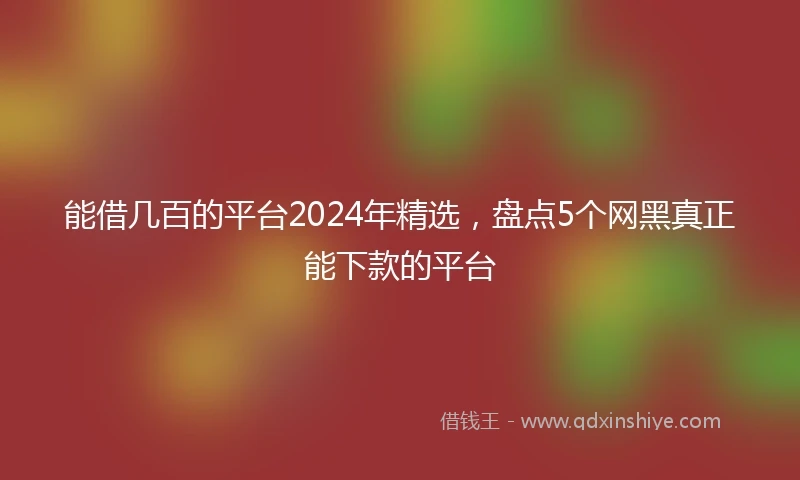 能借几百的平台2024年精选，盘点5个网黑真正能下款的平台