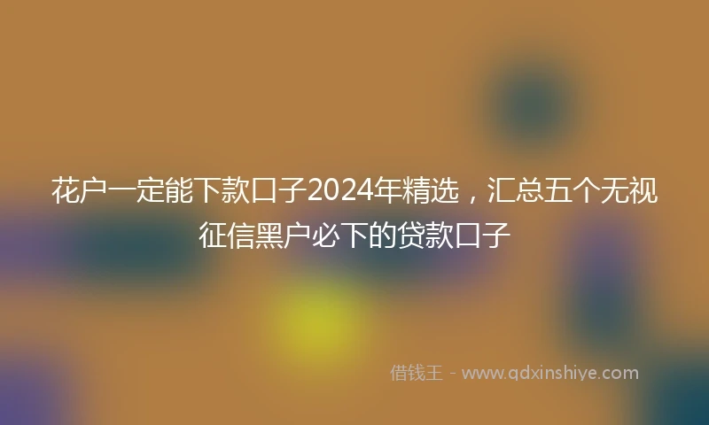 花户一定能下款口子2024年精选，汇总五个无视征信黑户必下的贷款口子