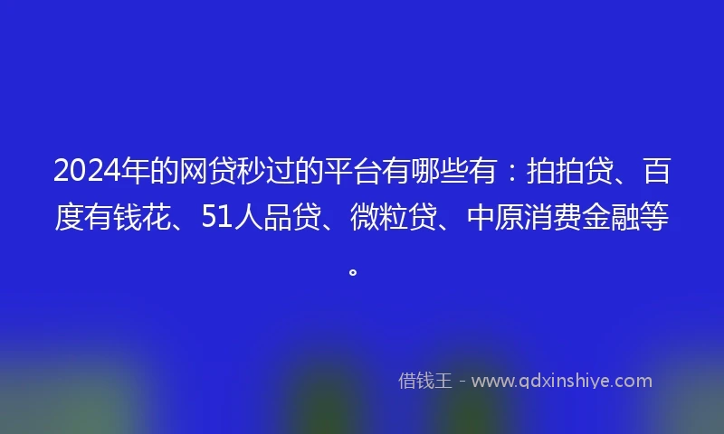 2024年的网贷秒过的平台有哪些有：拍拍贷、百度有钱花、51人品贷、微粒贷、中原消费金融等。