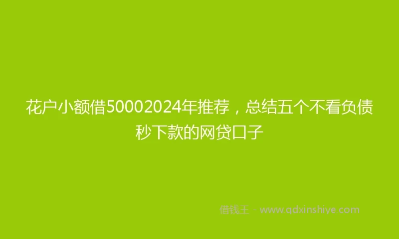 花户小额借50002024年推荐，总结五个不看负债秒下款的网贷口子