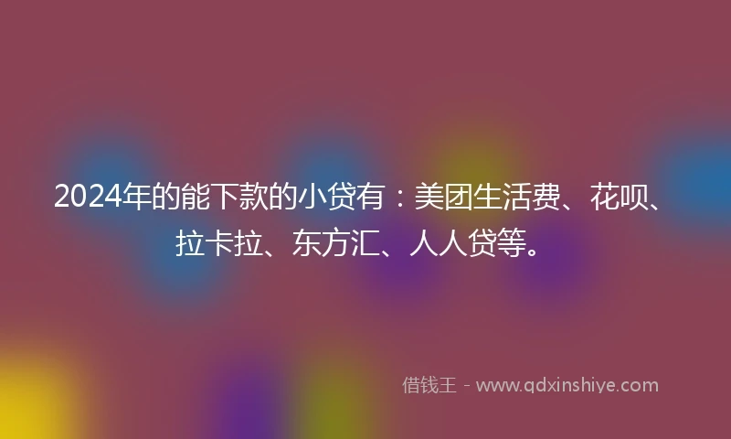 2024年的能下款的小贷有：美团生活费、花呗、拉卡拉、东方汇、人人贷等。