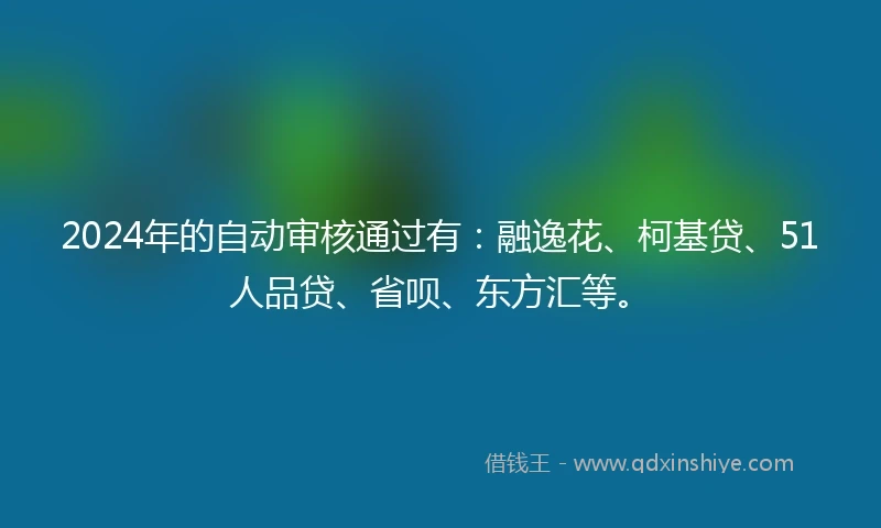 2024年的自动审核通过有：融逸花、柯基贷、51人品贷、省呗、东方汇等。