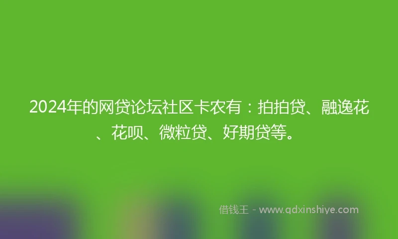 2024年的网贷论坛社区卡农有：拍拍贷、融逸花、花呗、微粒贷、好期贷等。