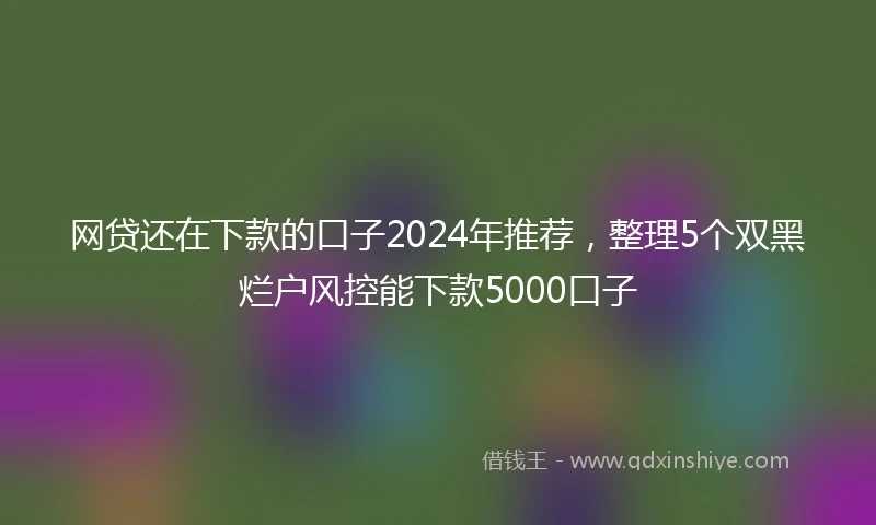 网贷还在下款的口子2024年推荐，整理5个双黑烂户风控能下款5000口子