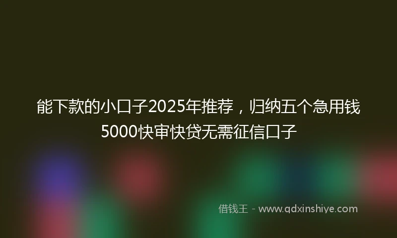 能下款的小口子2025年推荐，归纳五个急用钱5000快审快贷无需征信口子