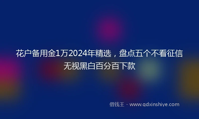 花户备用金1万2024年精选，盘点五个不看征信无视黑白百分百下款
