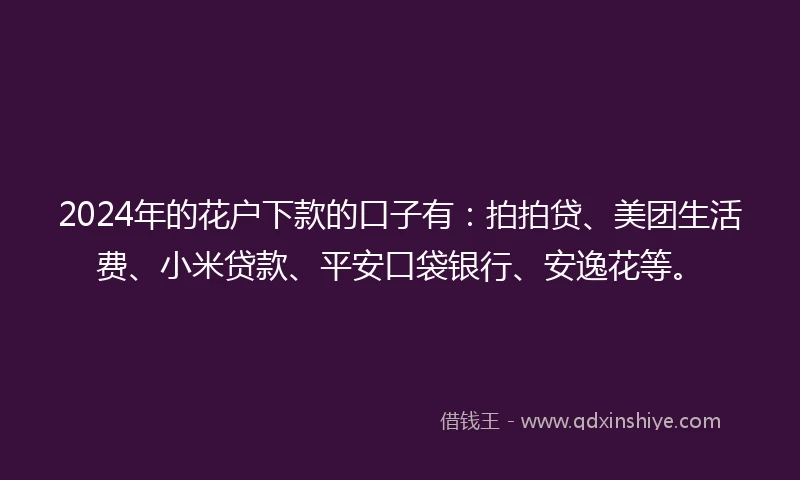 2024年的花户下款的口子有：拍拍贷、美团生活费、小米贷款、平安口袋银行、安逸花等。