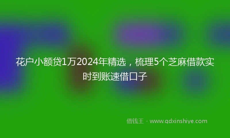 花户小额贷1万2024年精选，梳理5个芝麻借款实时到账速借口子