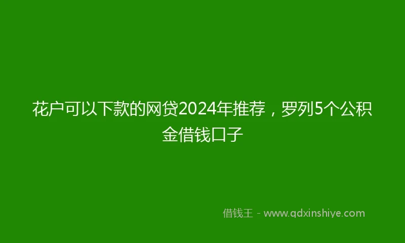 花户可以下款的网贷2024年推荐，罗列5个公积金借钱口子