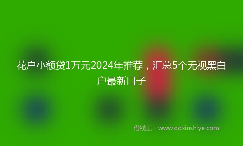 花户小额贷1万元2024年推荐，汇总5个无视黑白户最新口子