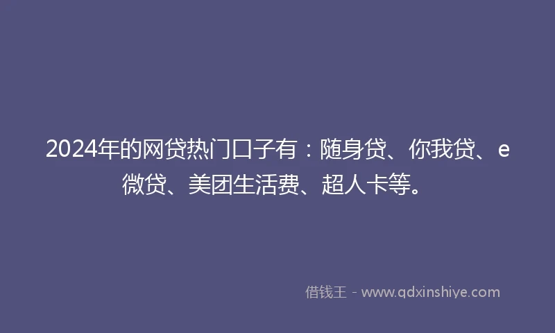 2024年的网贷热门口子有：随身贷、你我贷、e微贷、美团生活费、超人卡等。