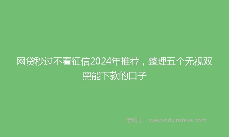 网贷秒过不看征信2024年推荐，整理五个无视双黑能下款的口子