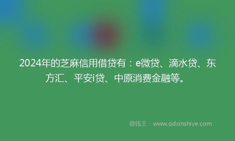 2024年的芝麻信用借贷有：e微贷、滴水贷、东方汇、平安i贷、中原消费金融等。