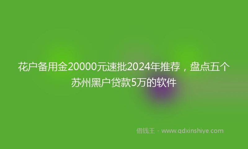 花户备用金20000元速批2024年推荐，盘点五个苏州黑户贷款5万的软件