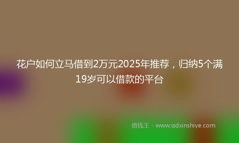 花户如何立马借到2万元2025年推荐，归纳5个满19岁可以借款的平台