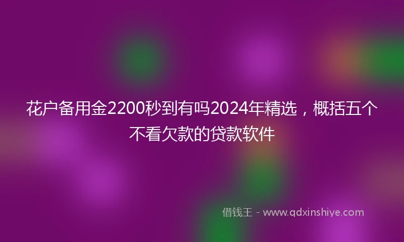 花户备用金2200秒到有吗2024年精选，概括五个不看欠款的贷款软件