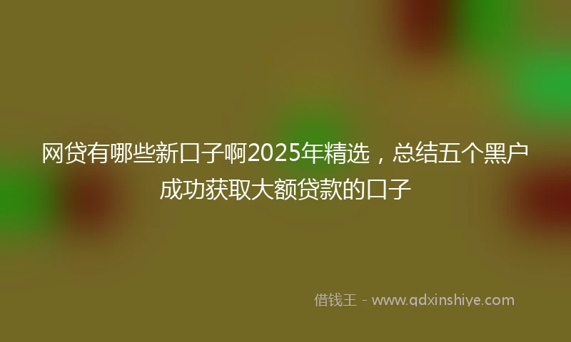 网贷有哪些新口子啊2025年精选，总结五个黑户成功获取大额贷款的口子