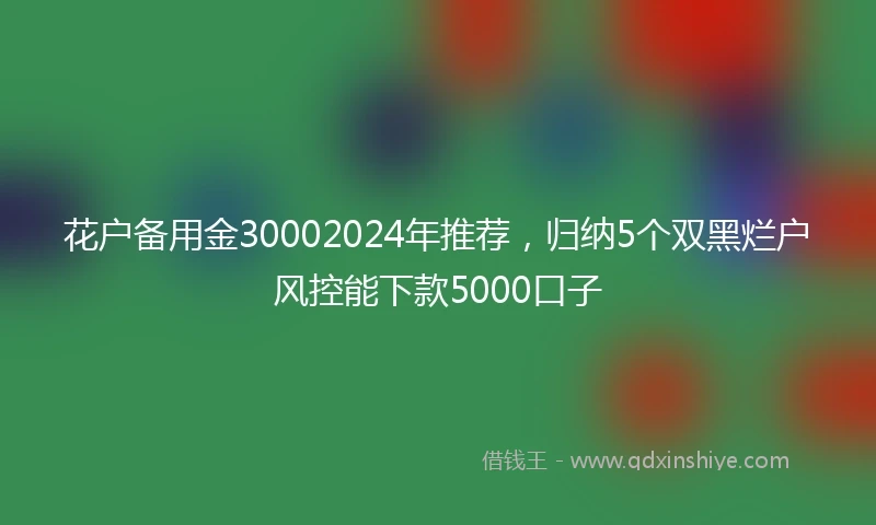 花户备用金30002024年推荐，归纳5个双黑烂户风控能下款5000口子