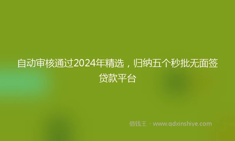 自动审核通过2024年精选，归纳五个秒批无面签贷款平台