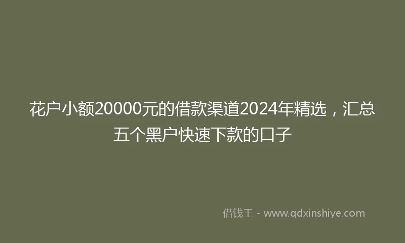花户小额20000元的借款渠道2024年精选，汇总五个黑户快速下款的口子