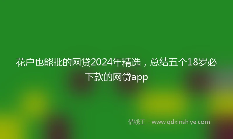 花户也能批的网贷2024年精选，总结五个18岁必下款的网贷app