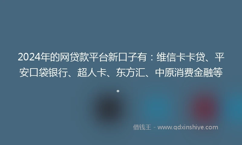 2024年的网贷款平台新口子有：维信卡卡贷、平安口袋银行、超人卡、东方汇、中原消费金融等。