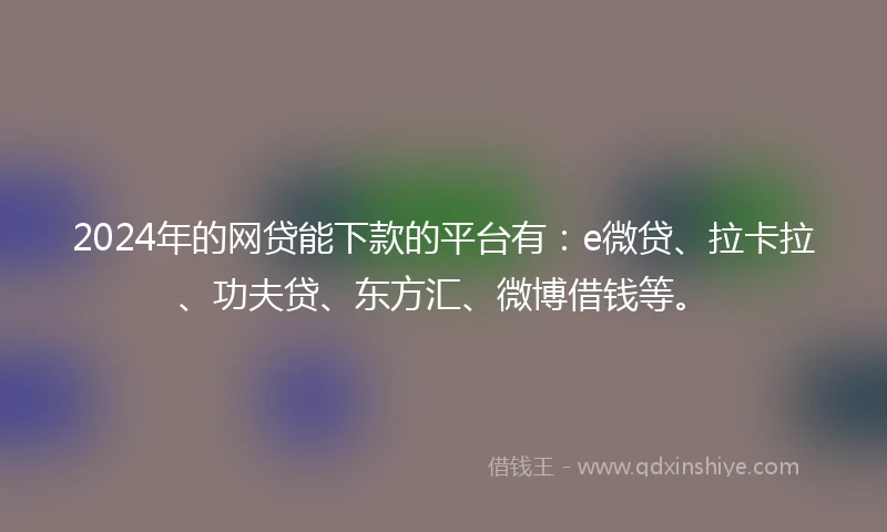 2024年的网贷能下款的平台有：e微贷、拉卡拉、功夫贷、东方汇、微博借钱等。