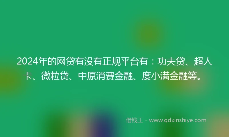 2024年的网贷有没有正规平台有：功夫贷、超人卡、微粒贷、中原消费金融、度小满金融等。