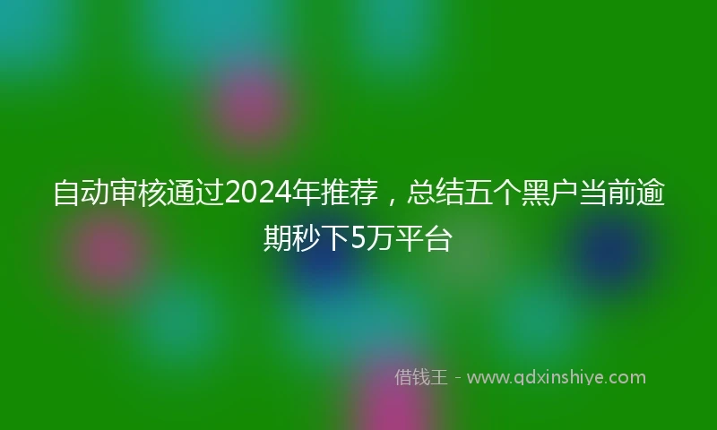 自动审核通过2024年推荐，总结五个黑户当前逾期秒下5万平台