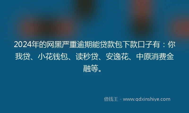 2024年的网黑严重逾期能贷款包下款口子有：你我贷、小花钱包、读秒贷、安逸花、中原消费金融等。