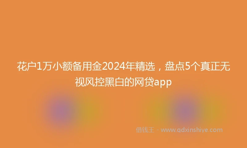 花户1万小额备用金2024年精选，盘点5个真正无视风控黑白的网贷app
