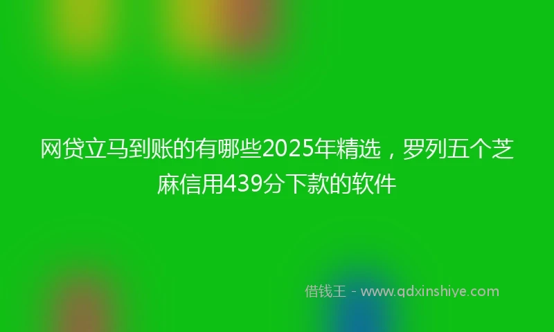 网贷立马到账的有哪些2025年精选，罗列五个芝麻信用439分下款的软件