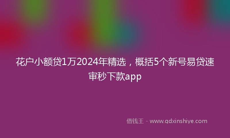 花户小额贷1万2024年精选，概括5个新号易贷速审秒下款app