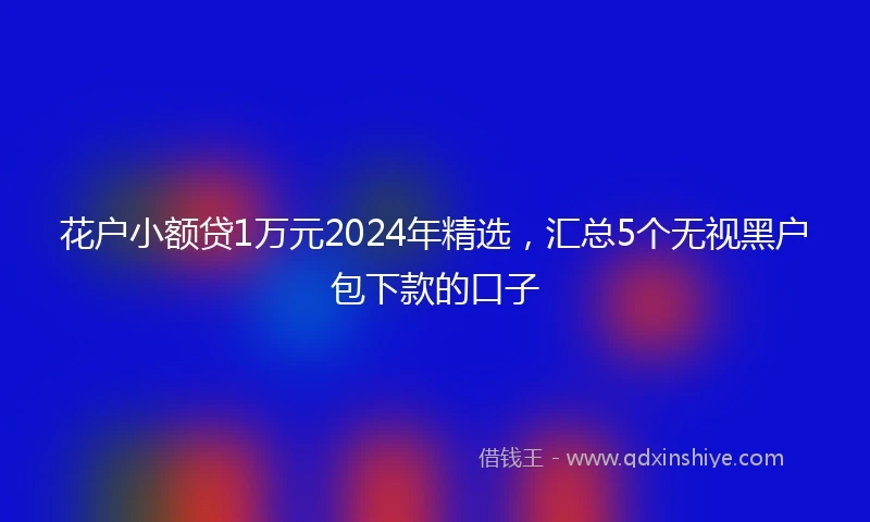花户小额贷1万元2024年精选，汇总5个无视黑户包下款的口子