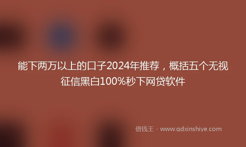 能下两万以上的口子2024年推荐，概括五个无视征信黑白100%秒下网贷软件