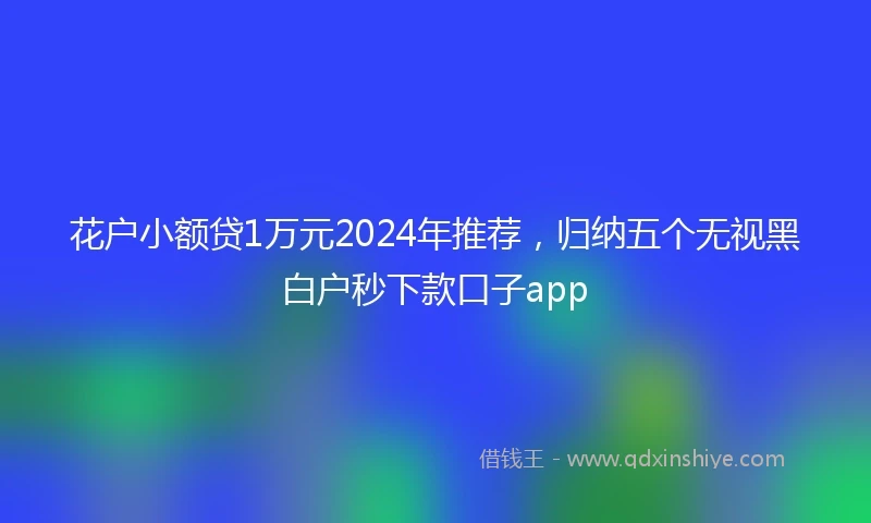 花户小额贷1万元2024年推荐，归纳五个无视黑白户秒下款口子app