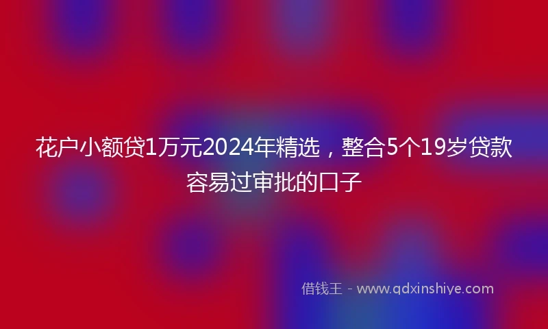 花户小额贷1万元2024年精选，整合5个19岁贷款容易过审批的口子