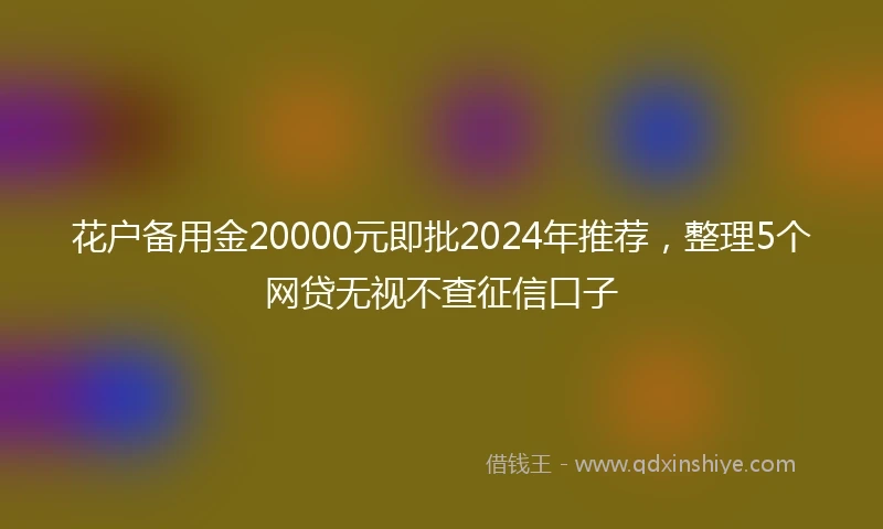 花户备用金20000元即批2024年推荐，整理5个网贷无视不查征信口子