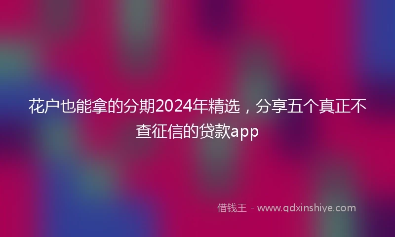 花户也能拿的分期2024年精选，分享五个真正不查征信的贷款app