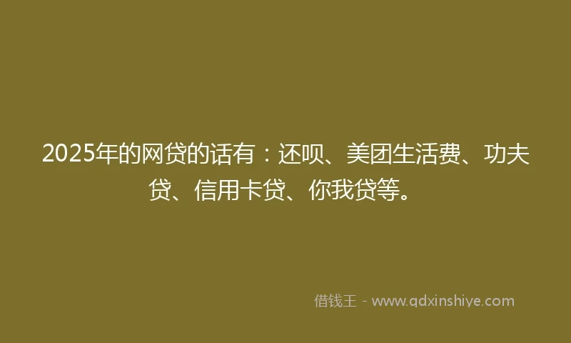 2025年的网贷的话有：还呗、美团生活费、功夫贷、信用卡贷、你我贷等。