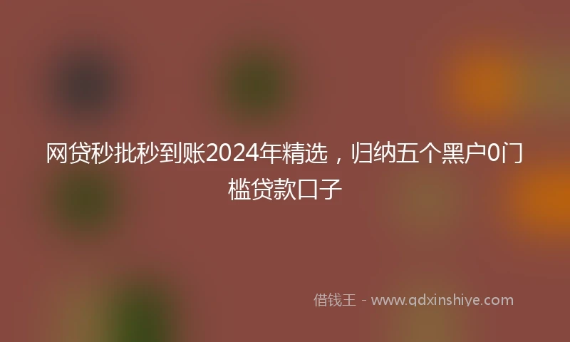网贷秒批秒到账2024年精选，归纳五个黑户0门槛贷款口子