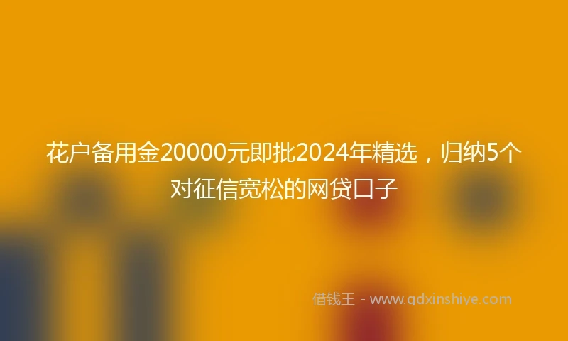 花户备用金20000元即批2024年精选，归纳5个对征信宽松的网贷口子