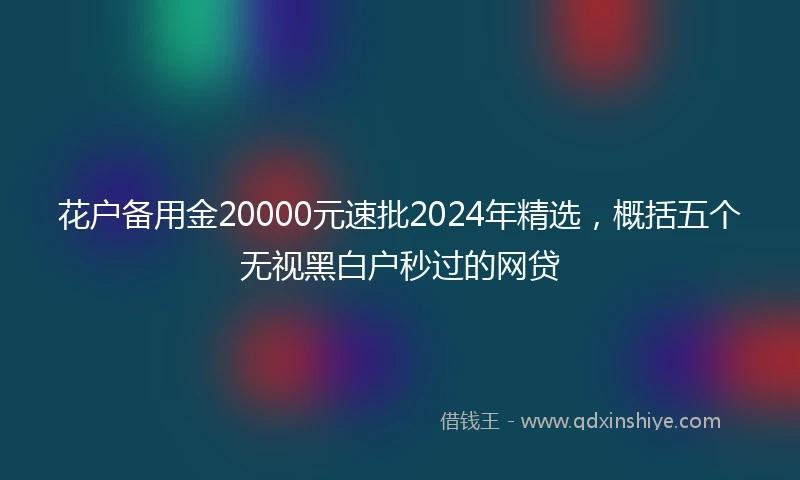 花户备用金20000元速批2024年精选，概括五个无视黑白户秒过的网贷
