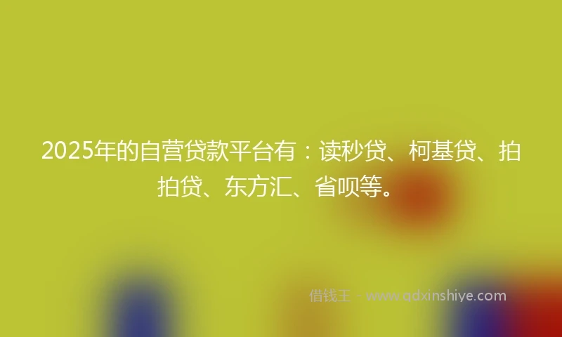 2025年的自营贷款平台有：读秒贷、柯基贷、拍拍贷、东方汇、省呗等。