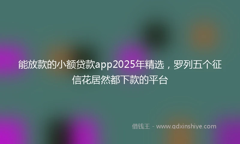 能放款的小额贷款app2025年精选，罗列五个征信花居然都下款的平台