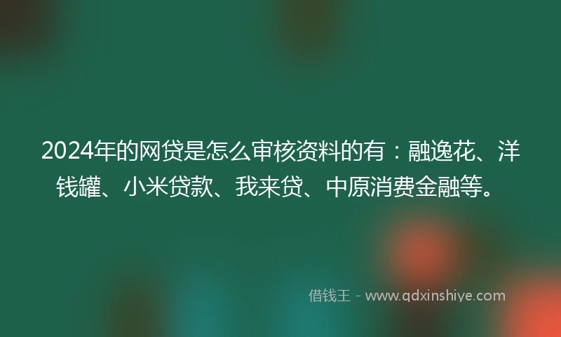 2024年的网贷是怎么审核资料的有：融逸花、洋钱罐、小米贷款、我来贷、中原消费金融等。