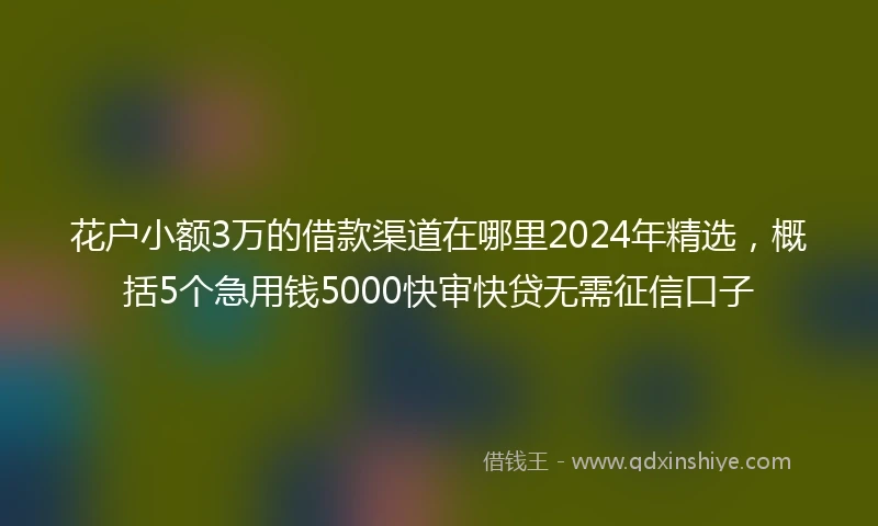 花户小额3万的借款渠道在哪里2024年精选，概括5个急用钱5000快审快贷无需征信口子